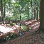 Landgoed.ampsen